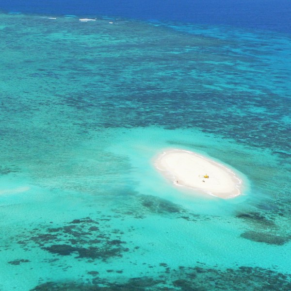 top view of reef water